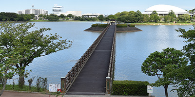 駕与丁大橋